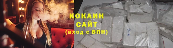 ALPHA-PVP Няндома