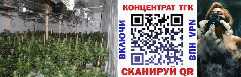 ТГК вейп с тгк  Бакал 