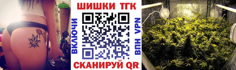 Конопля план  Бакал 